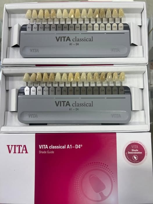 Vita classical