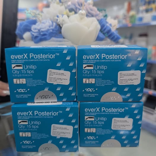EverX posterior