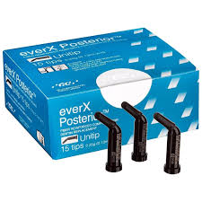 GC everX Posterior ™